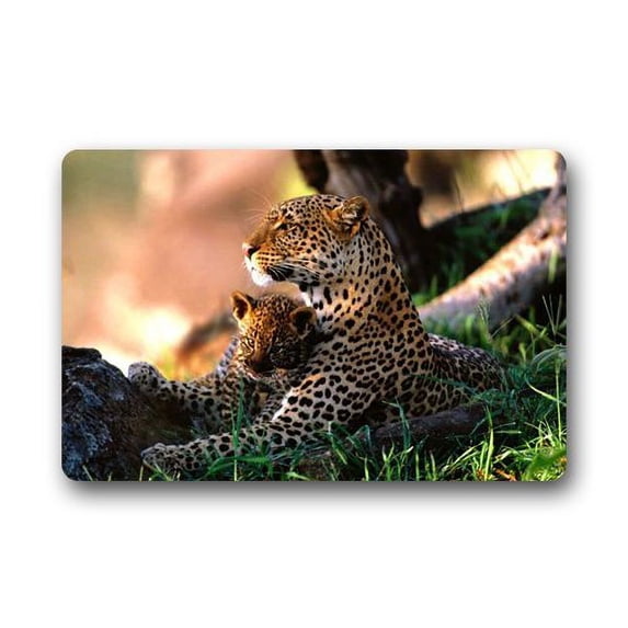 WinHome Animal Love Doormat Floor Mats Rugs Outdoors/Indoor Doormat Size 23.6x15.7 inches