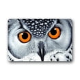 thumbnail image 1 of WinHome Animals Owl Doormat Floor Mats Rugs Outdoors/Indoor Doormat Size 23.6x15.7 inches, 1 of 1