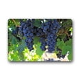 thumbnail image 1 of WinHome Autumn Harvest Doormat Floor Mats Rugs Outdoors/Indoor Doormat Size 30x18 inches, 1 of 1