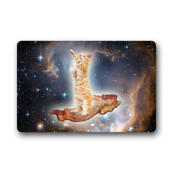WinHome Bacon Cat in Space Doormat Floor Mats Rugs Outdoors/Indoor Doormat Size 23.6x15.7 inches