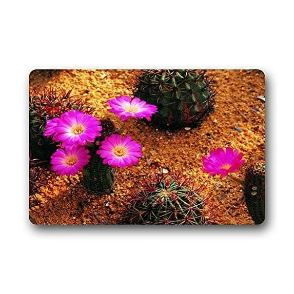 WinHome Ball Cactus Flower Doormat Floor Mats Rugs Outdoors/Indoor Doormat Size 23.6x15.7 inches