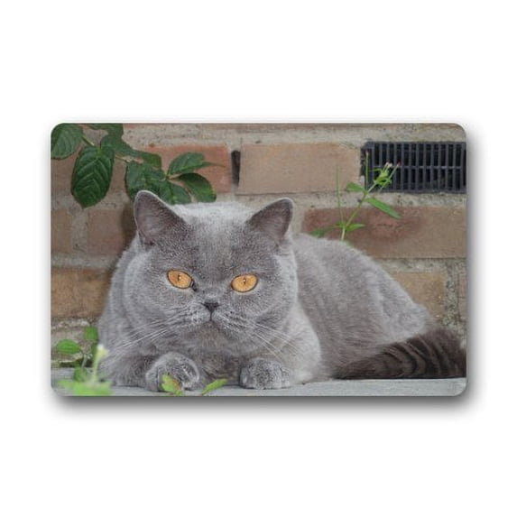 WinHome Beautiful Cat Doormat Floor Mats Rugs Outdoors/Indoor Doormat Size 23.6x15.7 inches