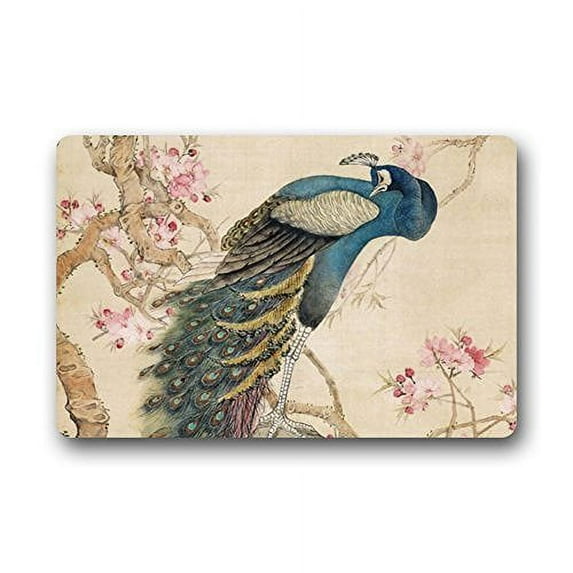 WinHome Beautiful Peacock Doormat Floor Mats Rugs Outdoors/Indoor Doormat Size 30x18 inches