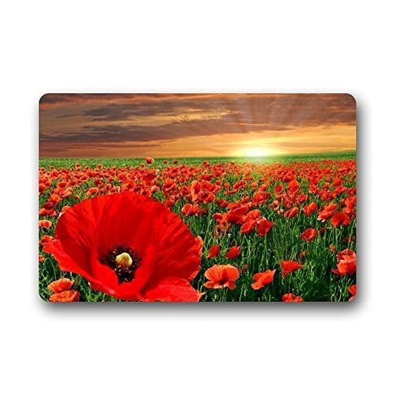 WinHome Beautiful Poppy Flowers Field Doormat Floor Mats Rugs Outdoors/Indoor Doormat Size 23.6x15.7 inches