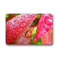 thumbnail image 1 of WinHome Beautiful Rain Drop Doormat Floor Mats Rugs Outdoors/Indoor Doormat Size 30x18 inches, 1 of 1