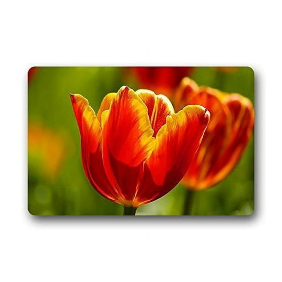 WinHome Beautiful Tulips Flower Doormat Floor Mats Rugs Outdoors/Indoor Doormat Size 23.6x15.7 inches