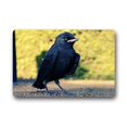 thumbnail image 1 of WinHome Black Bird Doormat Floor Mats Rugs Outdoors/Indoor Doormat Size 23.6x15.7 inches, 1 of 1