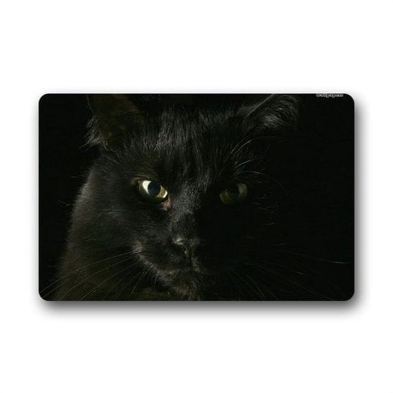 WinHome Black Cat Doormat Floor Mats Rugs Outdoors/Indoor Doormat Size 23.6x15.7 inches