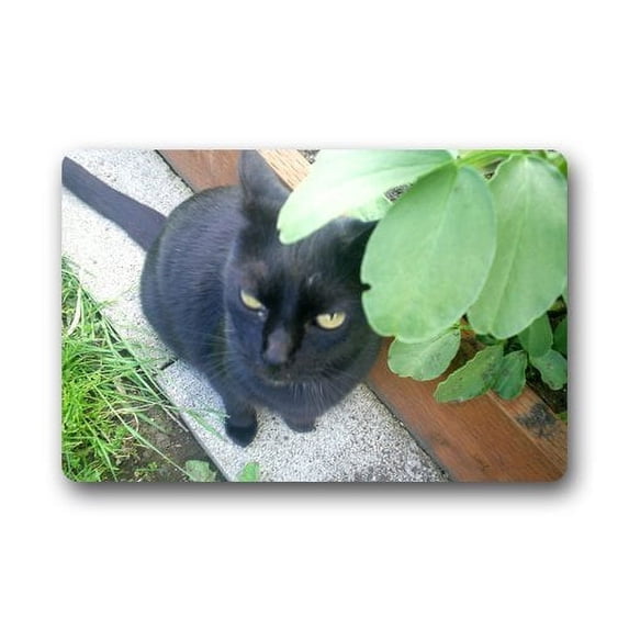 WinHome Black Cat In Garden Doormat Floor Mats Rugs Outdoors/Indoor Doormat Size 23.6x15.7 inches