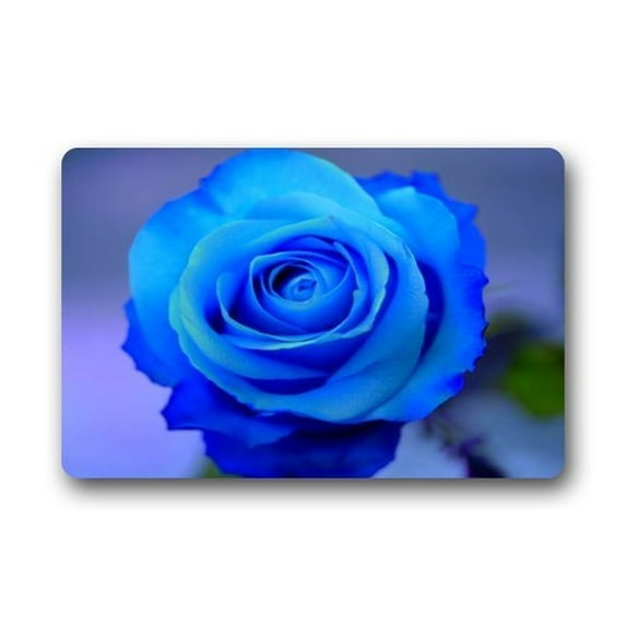 WinHome Blue Rose Doormat Floor Mats Rugs Outdoors/Indoor Doormat Size 30x18 inches