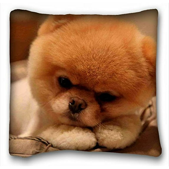 WinHome Boo The Dog Pet Dog Custom Pillow Cases Covers Standard Size Pillowcase Size 20x20 Inches Two Side Print