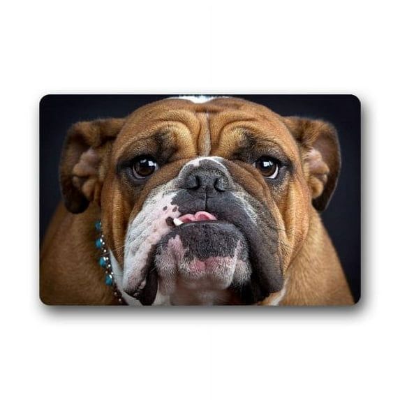 WinHome Bulldog Face Pug Dog Doormat Floor Mats Rugs Outdoors/Indoor Doormat Size 23.6x15.7 inches