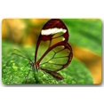 thumbnail image 1 of WinHome Butterfly Drawing Doormat Floor Mats Rugs Outdoors/Indoor Doormat Size 23.6x15.7 inches, 1 of 1