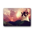 thumbnail image 1 of WinHome Cat Doormat Floor Mats Rugs Outdoors/Indoor Doormat Size 23.6x15.7 inches, 1 of 1