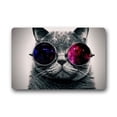 thumbnail image 1 of WinHome Cat In Universe Stars Glasses Doormat Floor Mats Rugs Outdoors/Indoor Doormat Size 30x18 inches, 1 of 1