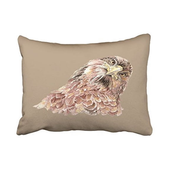 WinHome Colorful Cute Watercolor Owl Curious Looking At You Bird Polyester 20 x 30 Inch Rectangle Throw Pillow Covers With Hidden Zipper Home Sofa Cushion Decorative Pillowcases