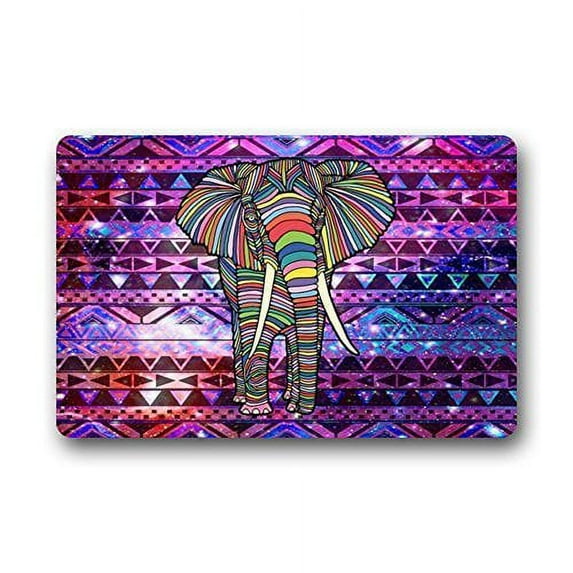 WinHome Colorful Tiger Facial Makeup Doormat Floor Mats Rugs Outdoors/Indoor Doormat Size 23.6x15.7 inches