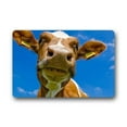 thumbnail image 1 of WinHome Cow head Doormat Floor Mats Rugs Outdoors/Indoor Doormat Size 23.6x15.7 inches, 1 of 1