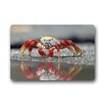 thumbnail image 1 of WinHome Crab Doormat Floor Mats Rugs Outdoors/Indoor Doormat Size 23.6x15.7 inches, 1 of 1