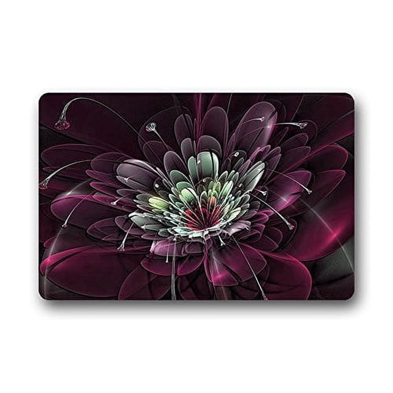 WinHome Crystal Clear Red Flower Doormat Floor Mats Rugs Outdoors/Indoor Doormat Size 23.6x15.7 inches