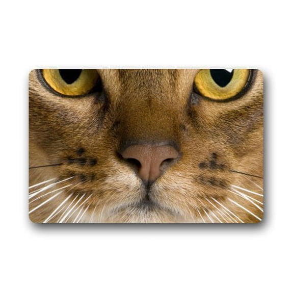 WinHome Cute Animal A Cool Cat Stare At You Doormat Floor Mats Rugs Outdoors/Indoor Doormat Size 23.6x15.7 inches