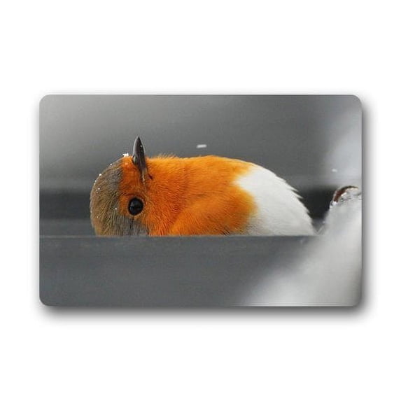 WinHome Cute Bird Tiny Creature Doormat Floor Mats Rugs Outdoors/Indoor Doormat Size 23.6x15.7 inches