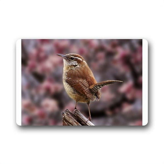 WinHome Cute Brown Bird Doormat Floor Mats Rugs Outdoors/Indoor Doormat Size 23.6x15.7 inches