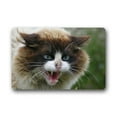 thumbnail image 1 of WinHome Cute Cat Doormat Floor Mats Rugs Outdoors/Indoor Doormat Size 23.6x15.7 inches, 1 of 1