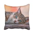 thumbnail image 1 of WinHome Cute Cat Lie On The Ground Blue Eyes Stripes Decorative Pillowcases With Hidden Zipper Decor Cushion Covers Two Sides 20x20 inches, 1 of 1
