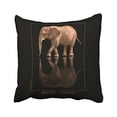 thumbnail image 1 of WinHome Cute Elephant Photograph Reflection Polyester 18 x 18 Inch Square Throw Pillow Covers With Hidden Zipper Home Sofa Cushion Decorative Pillowcases, 1 of 1