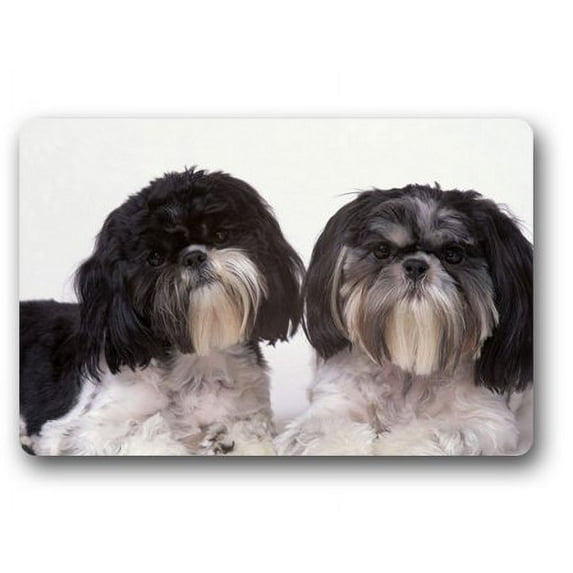 WinHome Cute Shih Tzu Doormat Floor Mats Rugs Outdoors/Indoor Doormat Size 23.6x15.7 inches