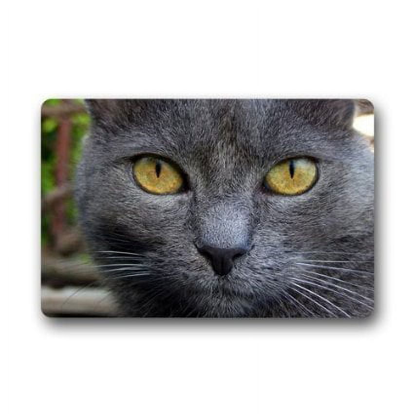 WinHome Dark Grey Cat Doormat Floor Mats Rugs Outdoors/Indoor