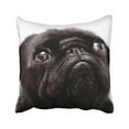thumbnail image 1 of WinHome Decorative Animal Custom Decorative Size PillowCase Animals black pug Size 18x18 inches Two Side, 1 of 1