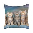 thumbnail image 1 of WinHome Decorative Custom Kitten Series Cute Cat Pillowcase Zippered Design Printed Pillow Case Cover Size 18x18 inches Two Side, 1 of 1