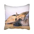 thumbnail image 1 of WinHome Decorative Cute Design Standard Print Cute Pet Doggy German Shepherd Dog Diy Pillowcases Protector Gift for kids Size 18x18 inches Two Side, 1 of 1