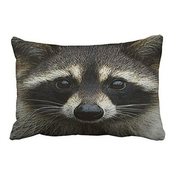 WinHome Decorative Cute Young Raccoon Face Mask and Stare Close Up Pillow Cover Size 20x30 inches Two Side