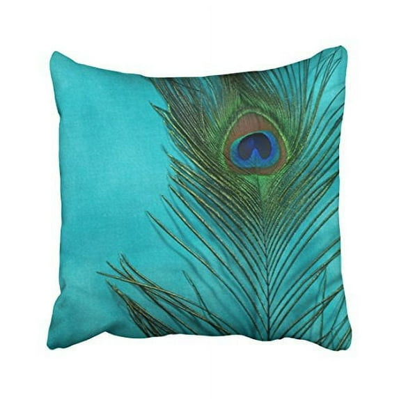 WinHome Decorative Decorative Cushion Case Aqua Peacock Feather Still Life Throw Pillow case Size 20x20 inches Two Side