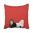 thumbnail image 1 of WinHome Decorative Decorative Throw Pillow Case Cushion Cover Mint green background French Bulldog Size 18x18 inches Two Side, 1 of 1