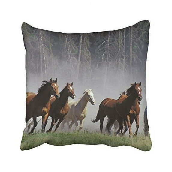 WinHome Decorative Fabulous Wild Running Horses Zippered Pillow Cases Covers Standard Size 18x18 inches Two Side