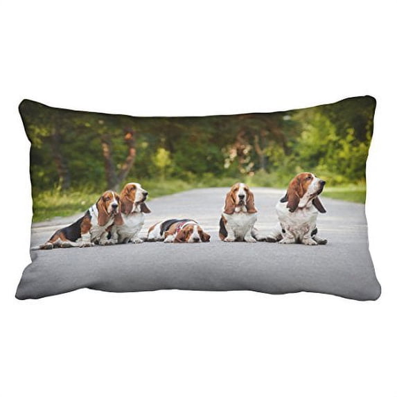 WinHome Decorative Fashionable Custom Basset Hound Zippered Pillow Cases Size 20x30 inches Two Side