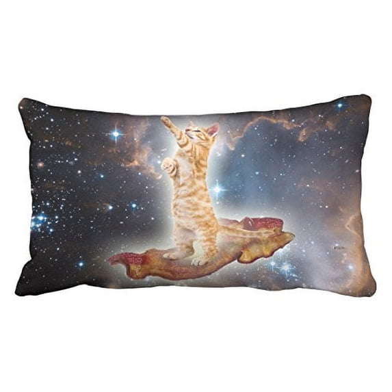 WinHome Decorative Funny Bacon Cat in Space Pillowcase Pillowcase with Zipper Pillow Protector Cover Cases Size 20x30 inches Two Side