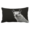 thumbnail image 1 of WinHome Decorative Hipster Llama Lama Cushion Case Throw Pillow Case Decor Cushion Covers with Hidden Zipper Closure Size 20x30 inches Two Side, 1 of 1