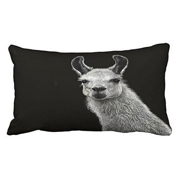 WinHome Decorative Hipster Llama Lama Cushion Case Throw Pillow Case Decor Cushion Covers with Hidden Zipper Closure Size 20x30 inches Two Side
