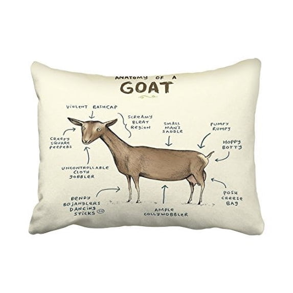 WinHome Decorative Home Style Throw Pillow Cover Cushion Case Anatomy of a Goat Size 20x30 inches Two Side