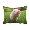 thumbnail image 1 of WinHome Decorative Personalized Little Lovely Cute Baby Pig Cover Zippered Pillowcase Size 20x30 inches Two Side, 1 of 9