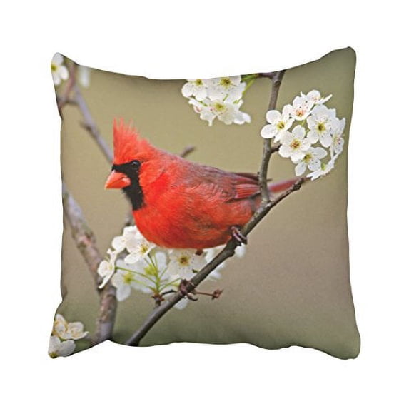 WinHome Decorative Red Northern Cardinal - Throw Pillow Cover Case Size 18x18 inches Two Side
