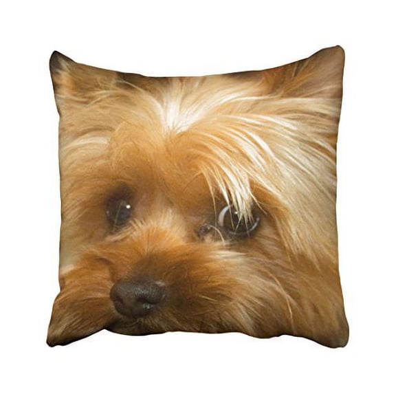 WinHome Decorative Wait For Mom Love Haley Dog Yorkie Terrier Throw Pillow Cases Personalized Decorative Throw Pillow Case Decor Cushion Covers Size 20x20 inches Two Side