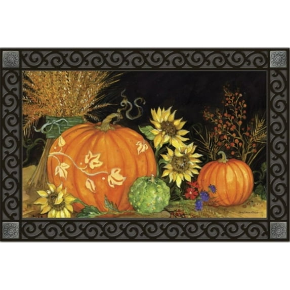 WinHome Fall Favorites Doormat Floor Mats Rugs Outdoors/Indoor Doormat Size 30x18 inches