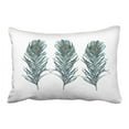 thumbnail image 1 of WinHome Fashion Peacock Feathers Colorful Polyester 20 x 30 Inch Rectangle Throw Pillow Covers With Hidden Zipper Home Sofa Cushion Decorative Pillowcases, 1 of 1