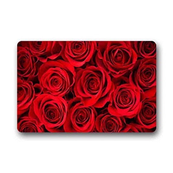 WinHome Flowers Doormat Floor Mats Rugs Outdoors/Indoor Doormat Size 23.6x15.7 inches